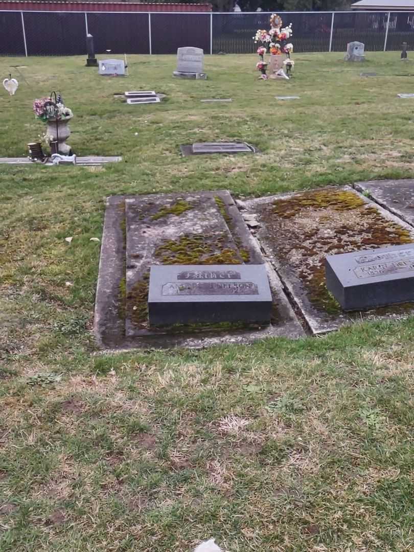 Anders O. Nelson's grave. Photo 2