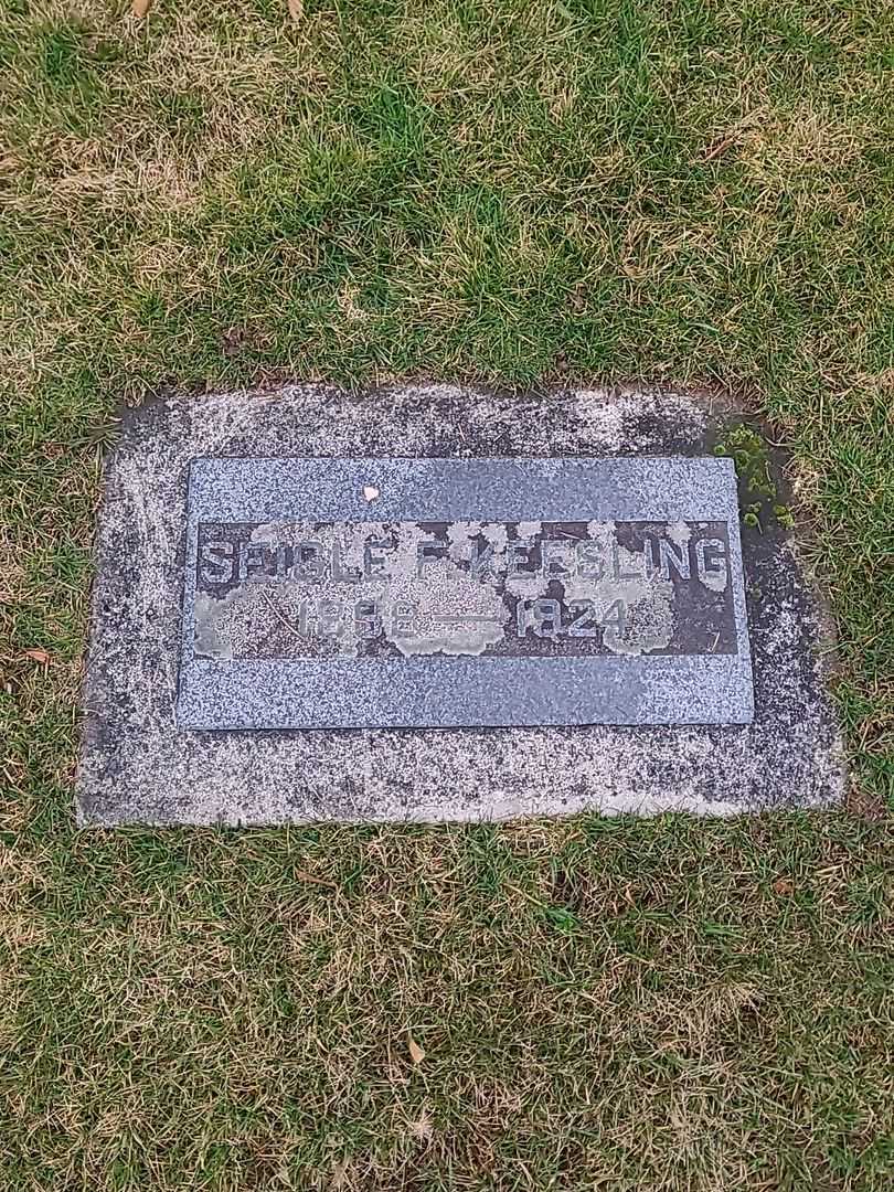 Seigle F. Keesling's grave. Photo 1