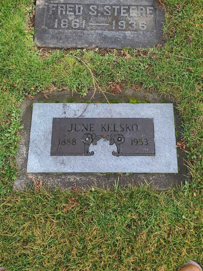 Fred S. Steere's grave. Photo 4