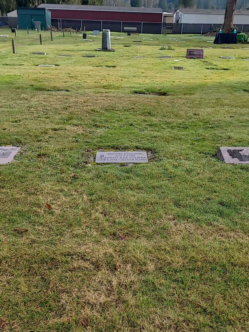 Susan Rae Palmer's grave. Photo 2