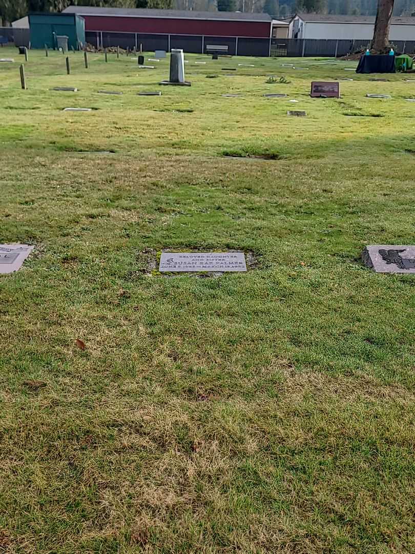 Susan Rae Palmer's grave. Photo 1