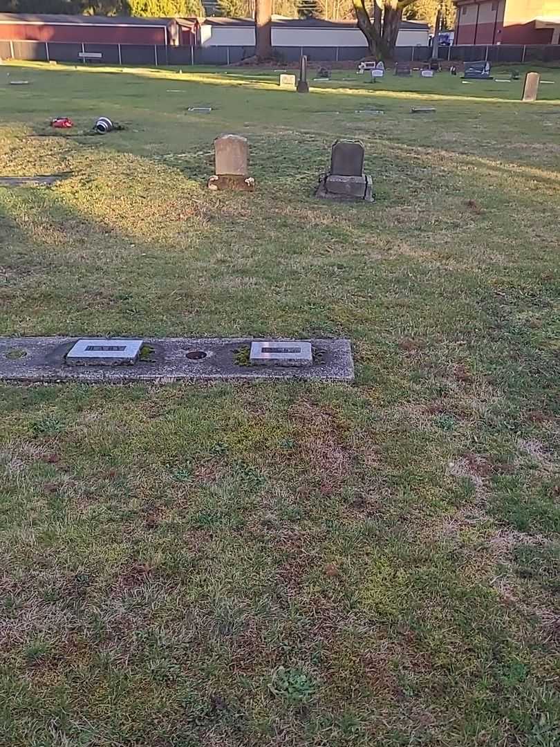 Baby Larson's grave. Photo 2