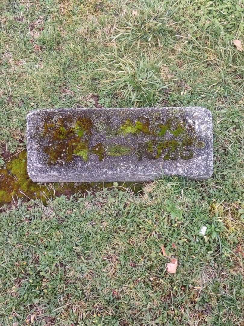 Peter Larson's grave. Photo 2