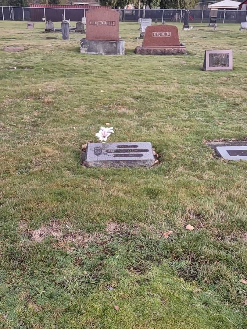 Henry Johnson's grave. Photo 1