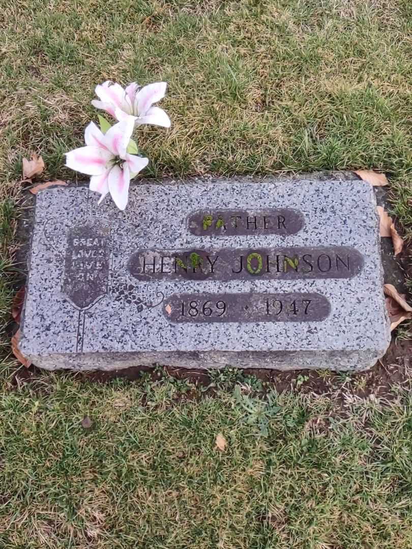 Henry Johnson's grave. Photo 1