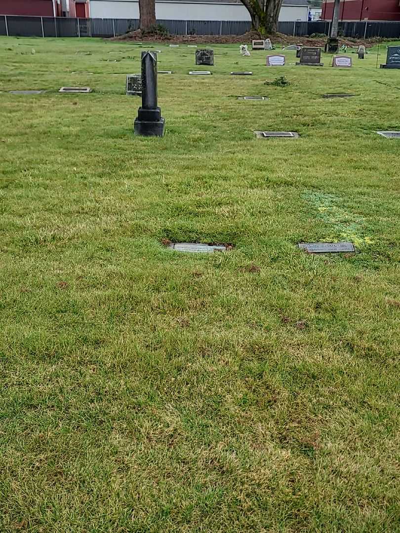 Charlie Hamilton Nelson's grave. Photo 2