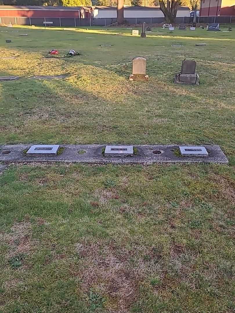 Baby Larson's grave. Photo 2