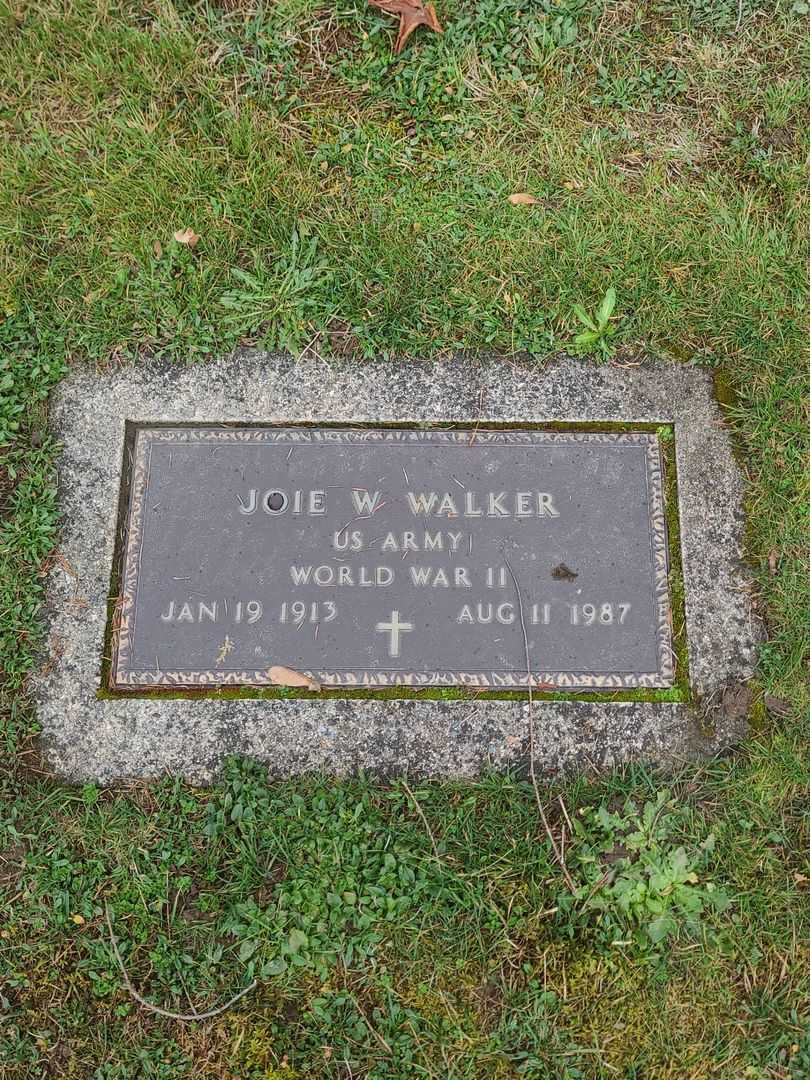 Joseph W. "Joie" Walker's grave. Photo 1