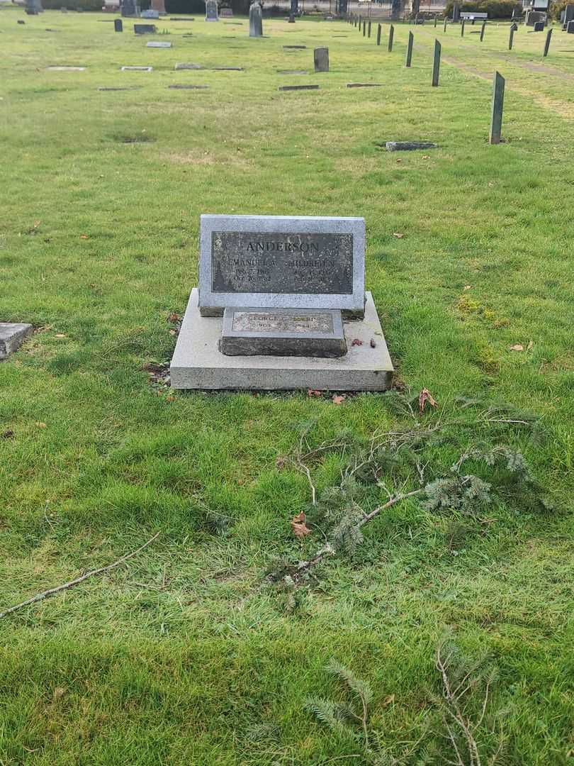 Emanuel A. Anderson's grave. Photo 1