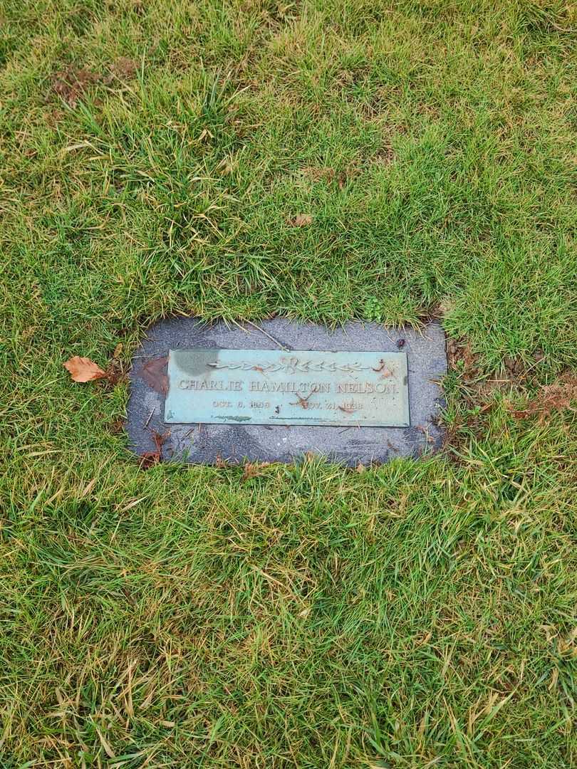 Charlie Hamilton Nelson's grave. Photo 1