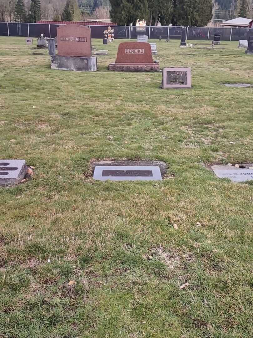 Anna Johnson's grave. Photo 2