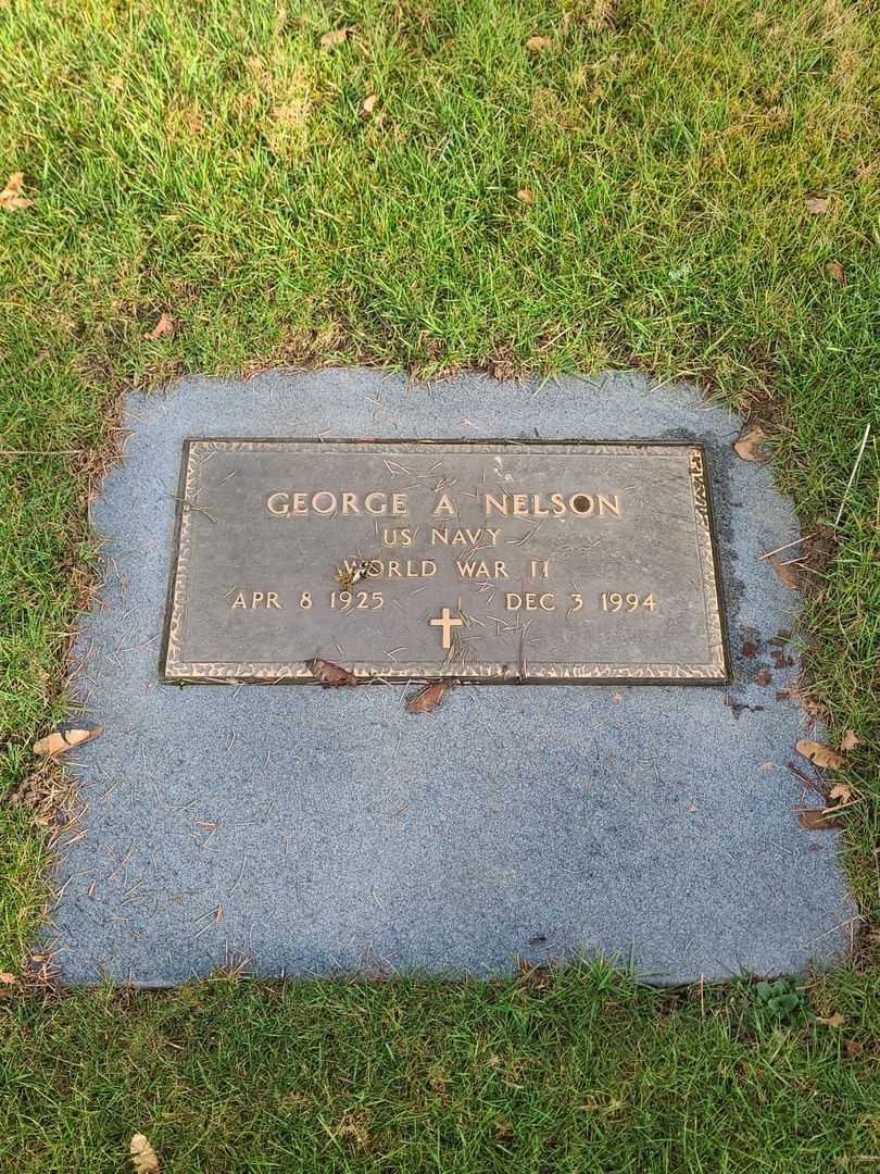 George A. Nelson's grave. Photo 1