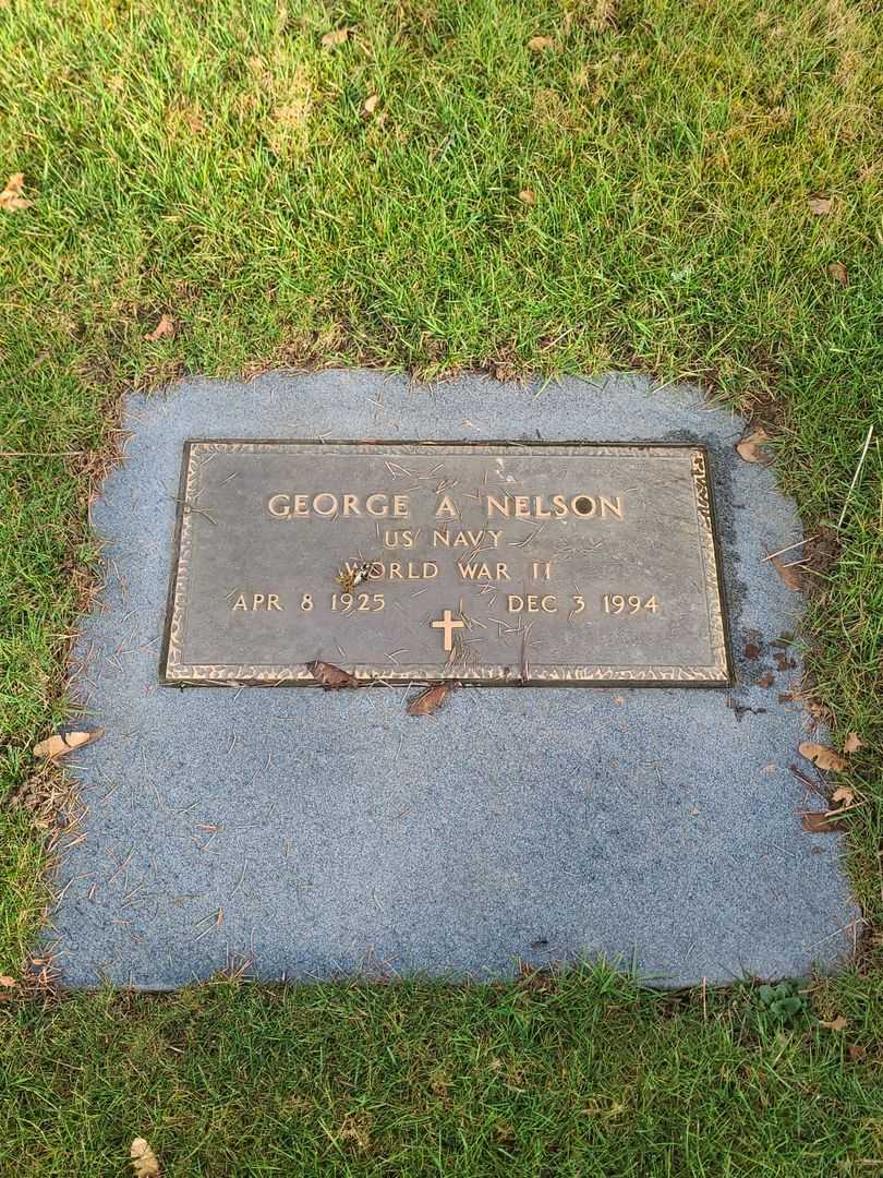 George A. Nelson's grave. Photo 2