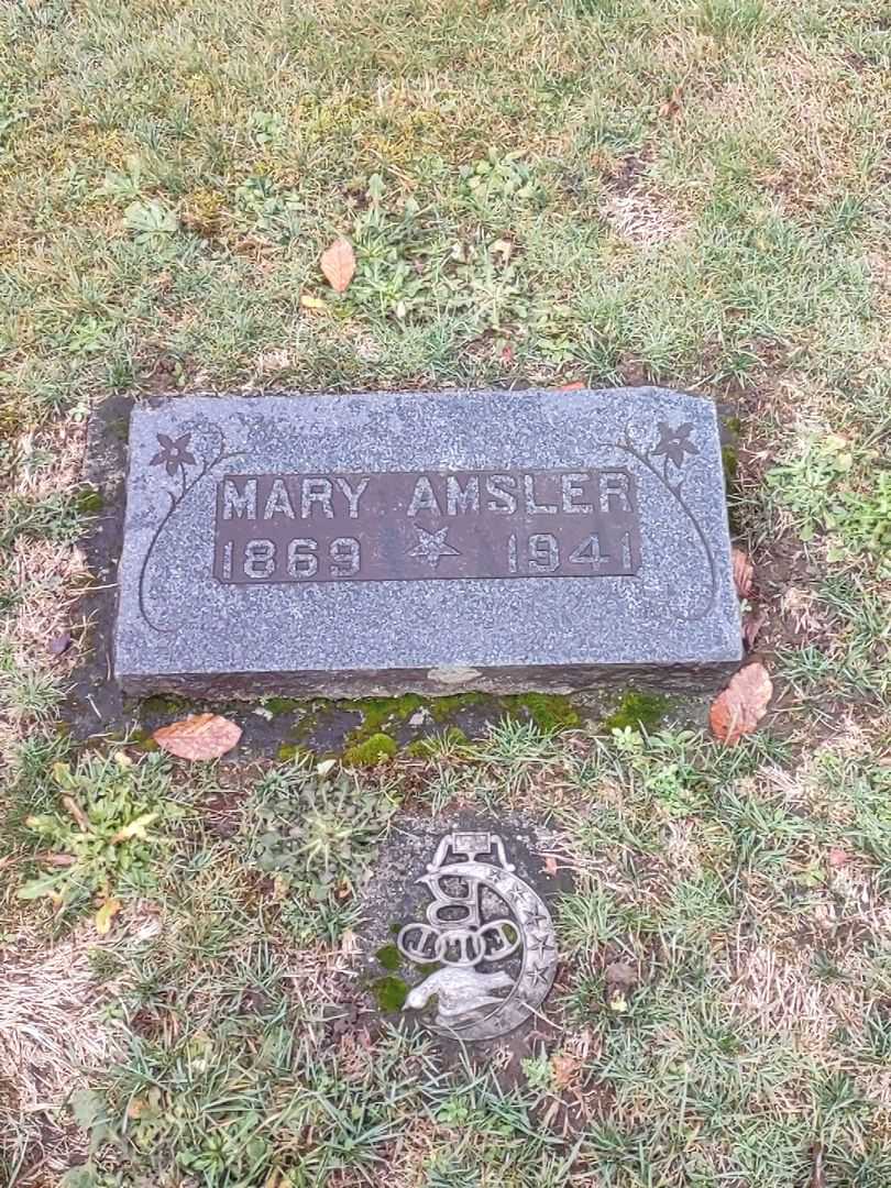 Mary Amsler's grave. Photo 1