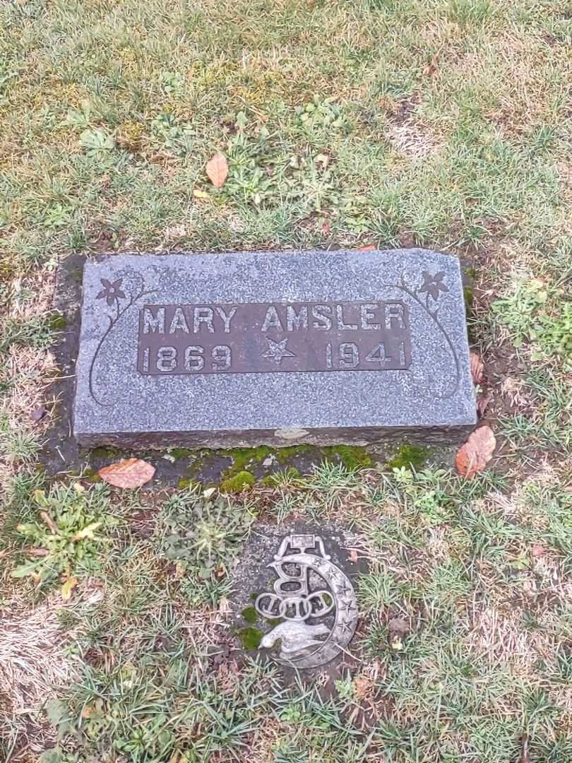 Mary Amsler's grave. Photo 2