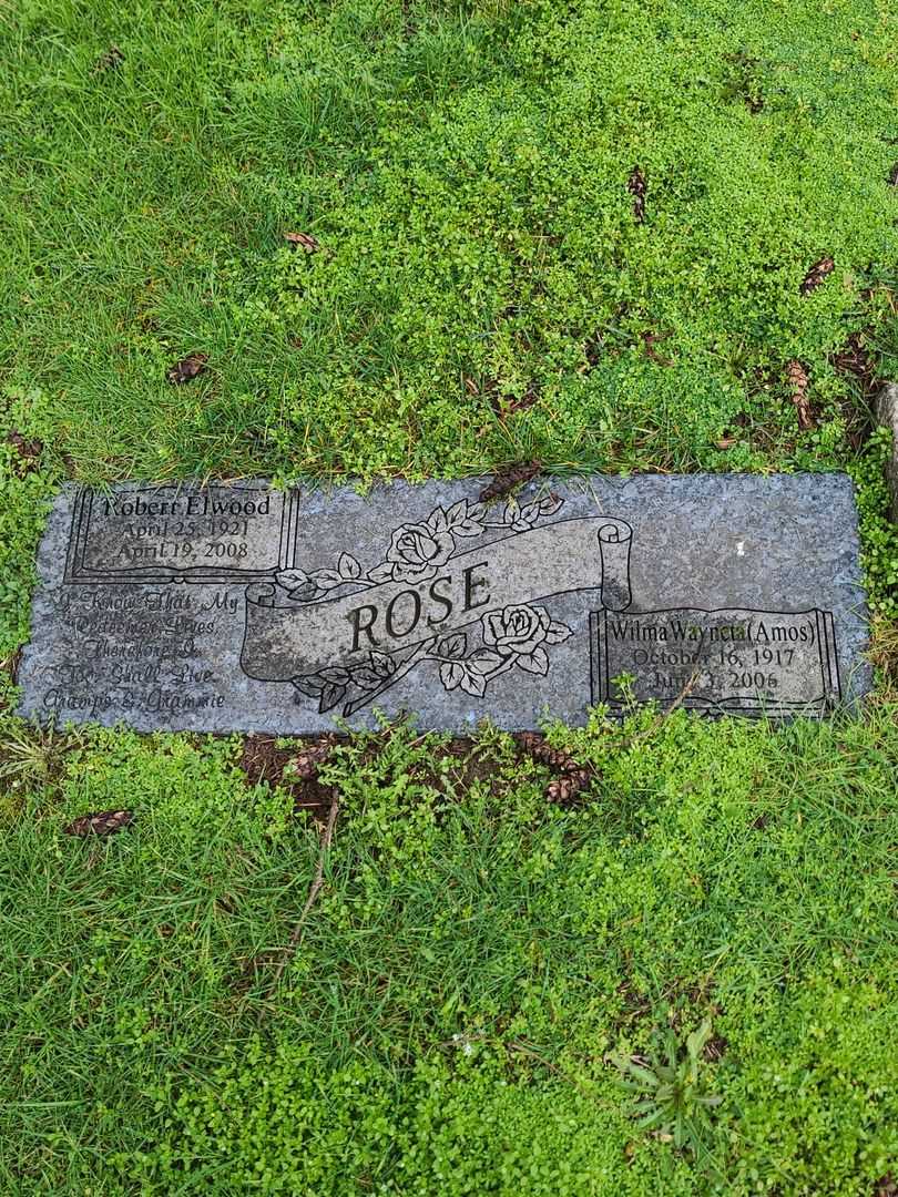 Wilma Wayncta Amos Rose's grave. Photo 1