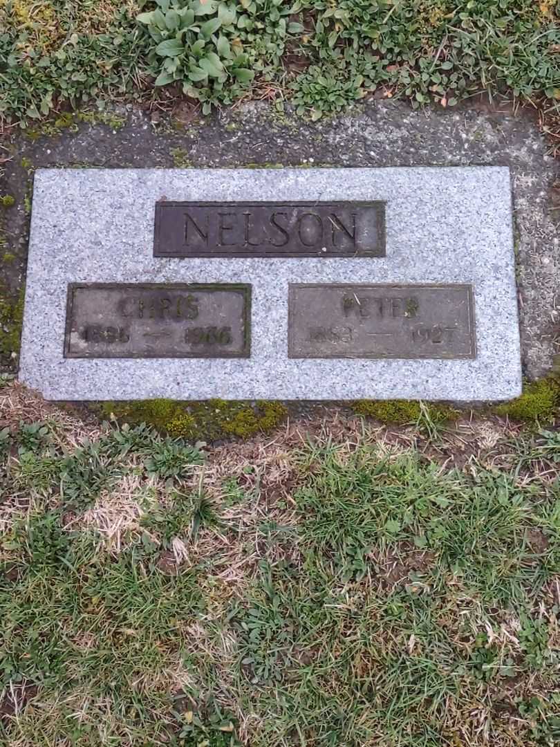 Chris Nelson's grave. Photo 1