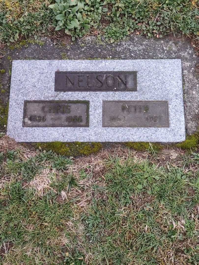 Chris Nelson's grave. Photo 2